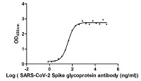 Human Novel Coronavirus Spike glycoprotein(S) in the group Antibodies Human Cell Biology / Coronavirus Research at Agrisera AB (Antibodies for research) (AS20 4389)